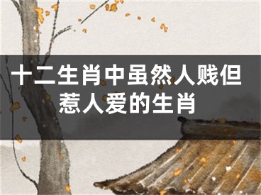 十二生肖中虽然人贱但惹人爱的生肖