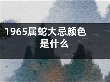 1965属蛇大忌颜色是什么