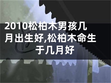 2010松柏木男孩几月出生好,松柏木命生于几月好