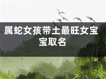 属蛇女孩带土最旺女宝宝取名