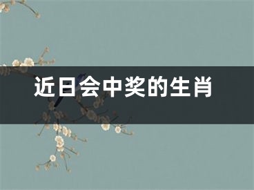 近日会中奖的生肖