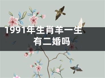 1991年生肖羊一生有二婚吗