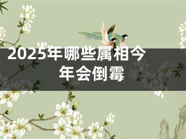 2025年哪些属相今年会倒霉