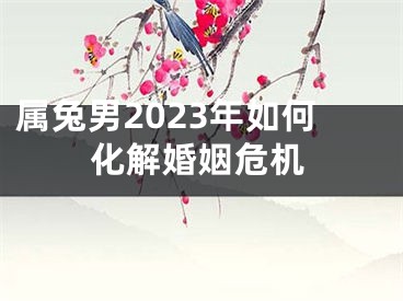 属兔男2023年如何化解婚姻危机