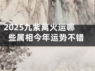 2025九紫离火运哪些属相今年运势不错