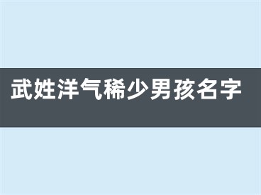 武姓洋气稀少男孩名字