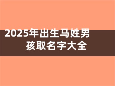2025年出生马姓男孩取名字大全