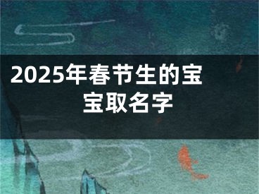 2025年春节生的宝宝取名字
