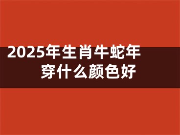 2025年生肖牛蛇年穿什么颜色好