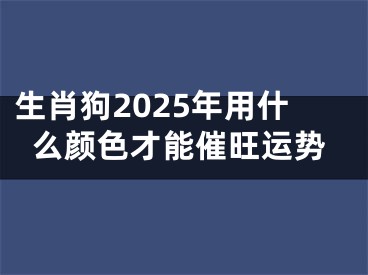 生肖狗2025年用什么颜色才能催旺运势