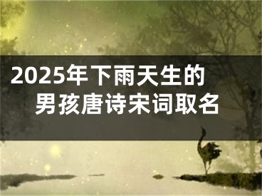 2025年下雨天生的男孩唐诗宋词取名