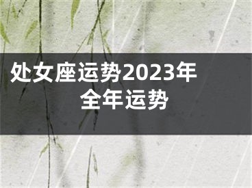 处女座运势2023年全年运势