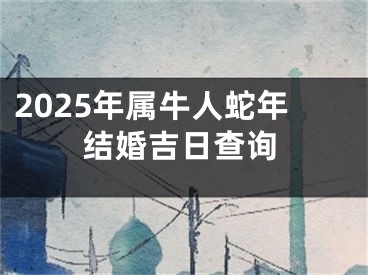 2025年属牛人蛇年结婚吉日查询