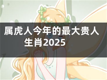 属虎人今年的最大贵人生肖2025