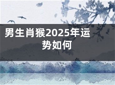 男生肖猴2025年运势如何