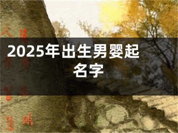 2025年出生男婴起名字