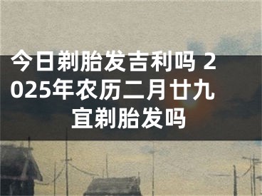 今日剃胎发吉利吗 2025年农历二月廿九宜剃胎发吗