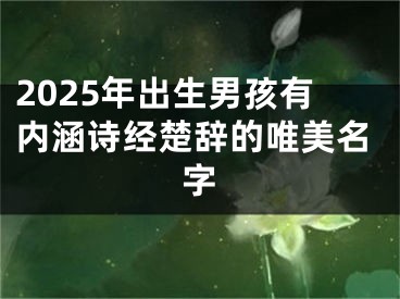 2025年出生男孩有内涵诗经楚辞的唯美名字