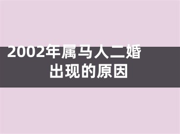 2002年属马人二婚出现的原因
