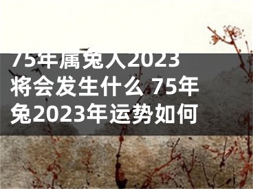 75年属兔人2023将会发生什么 75年兔2023年运势如何