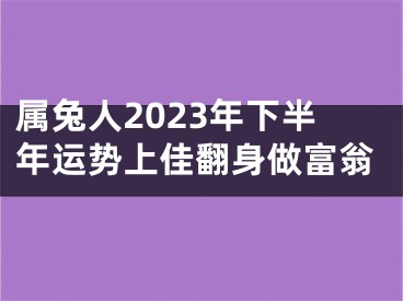 属兔人2023年下半年运势上佳翻身做富翁