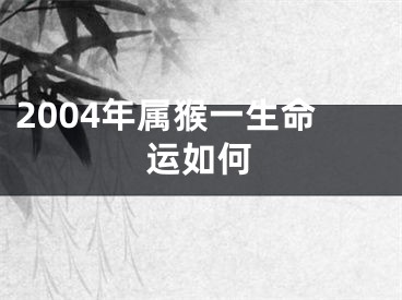 2004年属猴一生命运如何