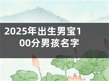 2025年出生男宝100分男孩名字