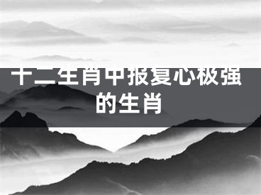 十二生肖中报复心极强的生肖