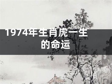 1974年生肖虎一生的命运