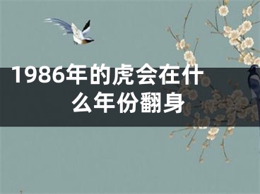 1986年的虎会在什么年份翻身