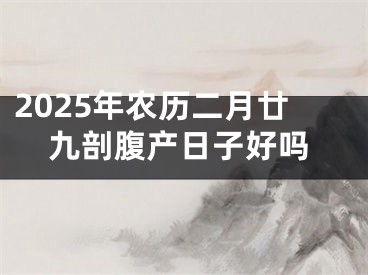 2025年农历二月廿九剖腹产日子好吗