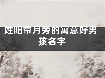 姓阳带月旁的寓意好男孩名字