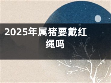 2025年属猪要戴红绳吗