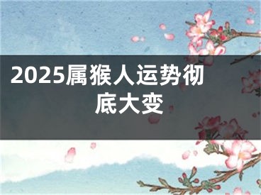 2025属猴人运势彻底大变