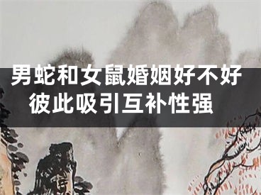 男蛇和女鼠婚姻好不好 彼此吸引互补性强
