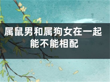 属鼠男和属狗女在一起能不能相配