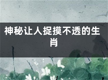 神秘让人捉摸不透的生肖