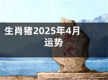 生肖猪2025年4月运势