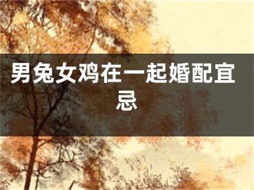 男兔女鸡在一起婚配宜忌