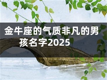金牛座的气质非凡的男孩名字2025