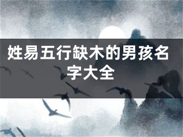 姓易五行缺木的男孩名字大全