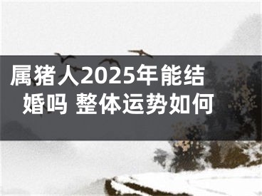 属猪人2025年能结婚吗 整体运势如何