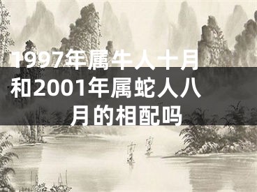 1997年属牛人十月和2001年属蛇人八月的相配吗