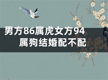 男方86属虎女方94属狗结婚配不配