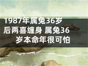 1987年属兔36岁后两喜缠身 属兔36岁本命年很可怕