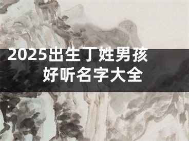 2025出生丁姓男孩好听名字大全