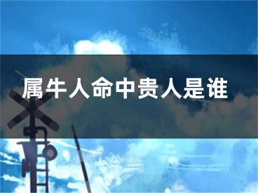 属牛人命中贵人是谁