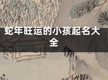蛇年旺运的小孩起名大全