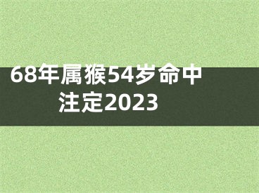 68年属猴54岁命中注定2023
