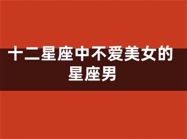 十二星座中不爱美女的星座男